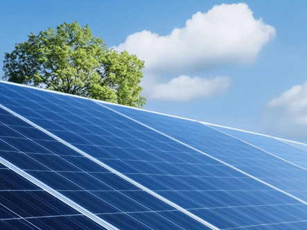 澳门正版游戏平台app